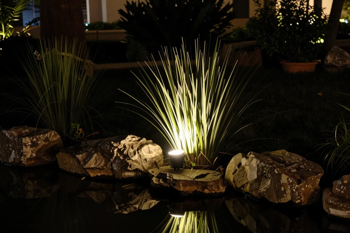 A small hidden spotlight softly uplighting a tall ornamental grass and its reflection in a pond at night